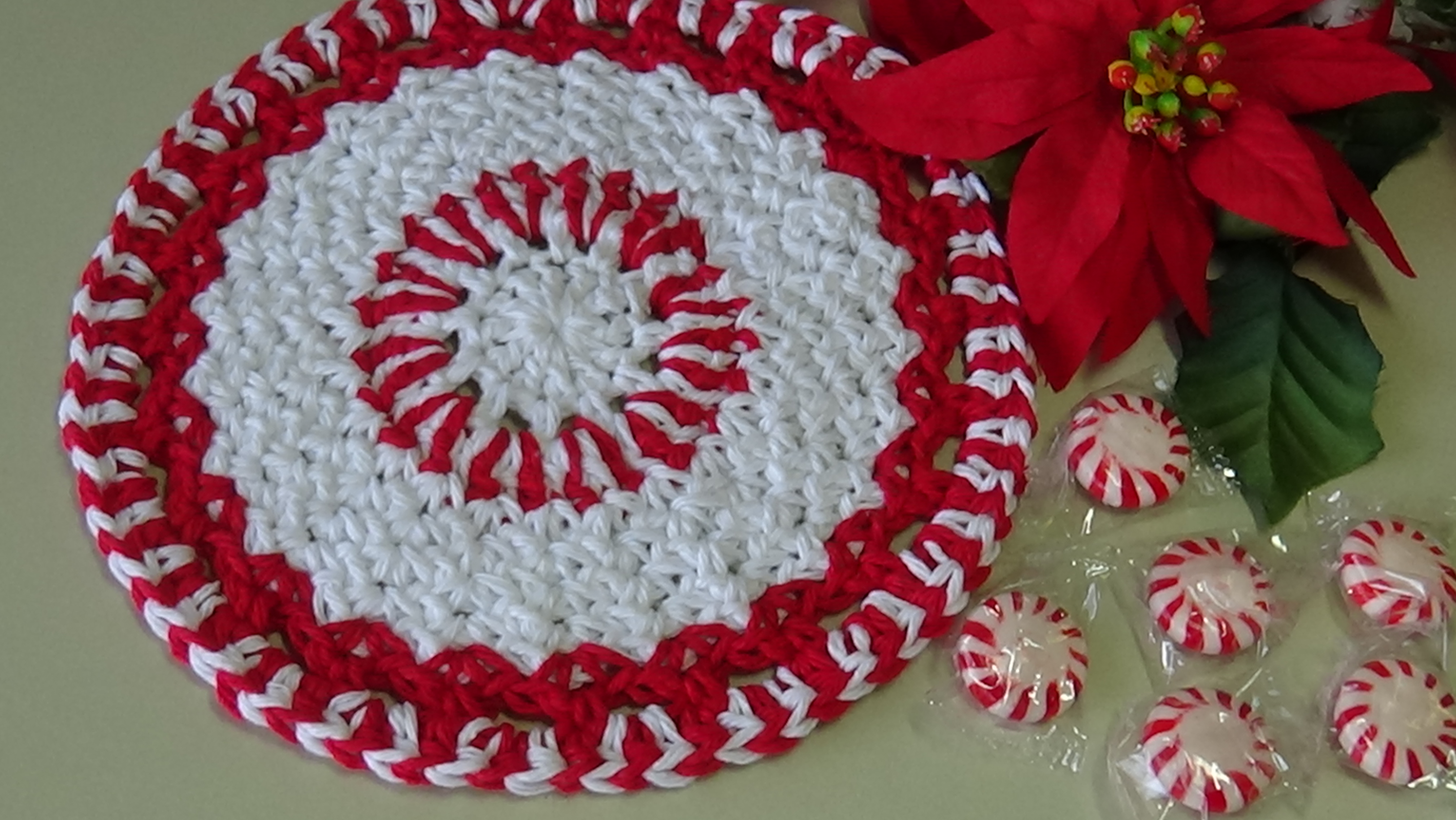 Christmas cANDY DISHCLOTH